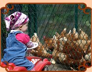 Kind beim Betrachten der Hühner